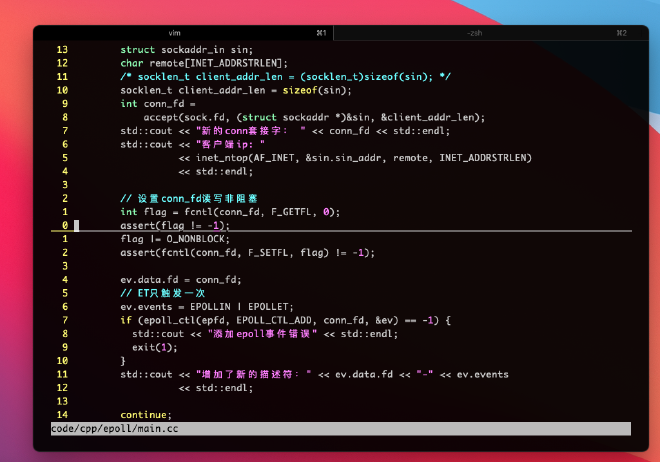 vim
